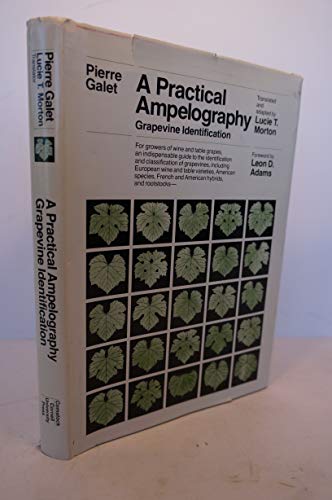 9780801412400: Practical Ampelography CB