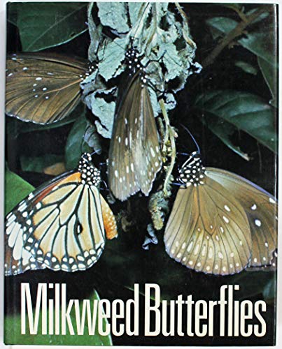 Stock image for Milkweed Butterflies: Their Cladistics and Biology for sale by Griffin Books