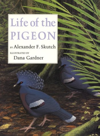 Beispielbild fr Life of the Pigeon zum Verkauf von Better World Books