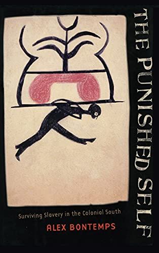 9780801435218: The Punished Self: Surviving Slavery in the Colonial South