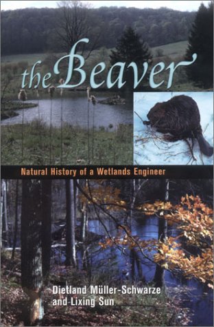Beispielbild fr The Beaver : Natural History of a Wetlands Engineer zum Verkauf von Better World Books