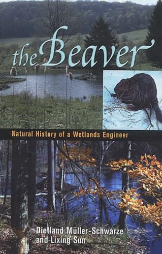 Stock image for The Beaver: Natural History of a Wetlands Engineer (Comstock books) for sale by SecondSale