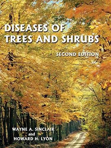 Beispielbild fr Diseases of Trees and Shrubs zum Verkauf von GoldBooks