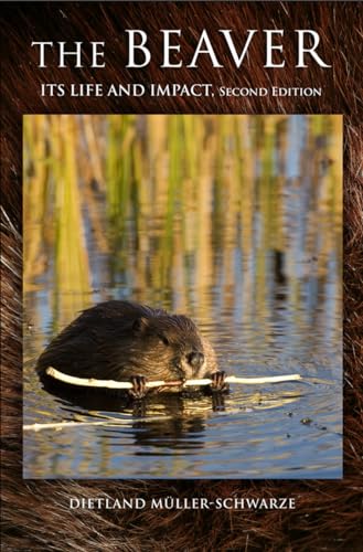 Stock image for The Beaver: Natural History of a Wetlands Engineer for sale by Books Unplugged