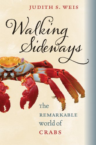 Beispielbild fr Walking Sideways: The Remarkable World of Crabs zum Verkauf von SecondSale