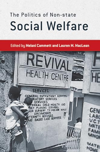 Stock image for The Politics of Non-state Social Welfare for sale by Midtown Scholar Bookstore