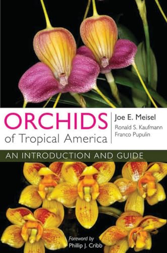 Stock image for Orchids of Tropical America: An Introduction and Guide for sale by Open Books