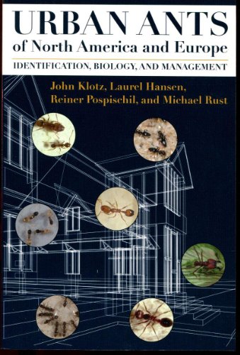 Stock image for Urban Ants of North America and Europe: Identification, Biology, and Management for sale by Revaluation Books
