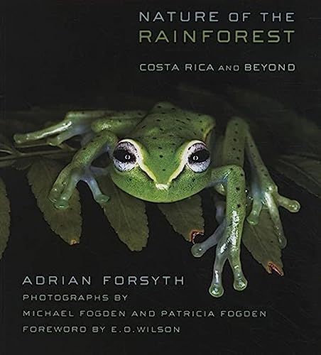 Stock image for Nature of the Rainforest : Costa Rica and Beyond for sale by Better World Books