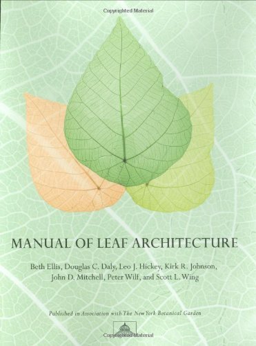 Stock image for Manual of Leaf Architecture for sale by Magus Books Seattle