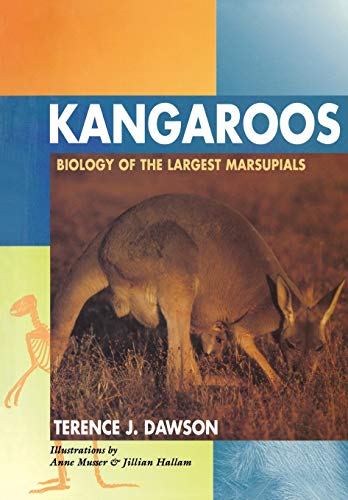 Stock image for Kangaroos : Biology of the Largest Marsupials for sale by Better World Books