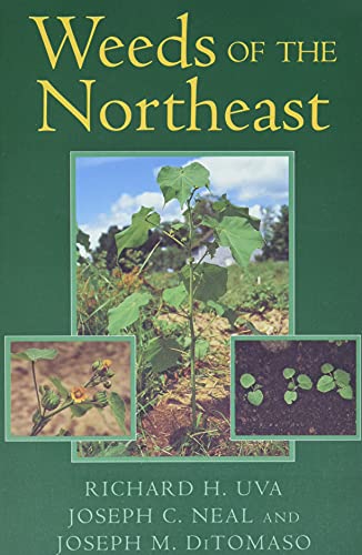Stock image for Weeds of the Northeast for sale by Your Online Bookstore