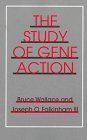 Beispielbild fr The Study of Gene Action zum Verkauf von Better World Books