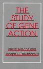 9780801483400: The Study of Gene Action
