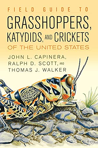 Stock image for Field Guide to Grasshoppers, Katydids, and Crickets of the United States for sale by Irish Booksellers