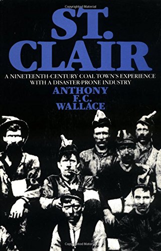 Stock image for St. Clair: A Nineteenth-Century Coal Town's Experience With a Disaster-Prone Industry for sale by HPB-Emerald