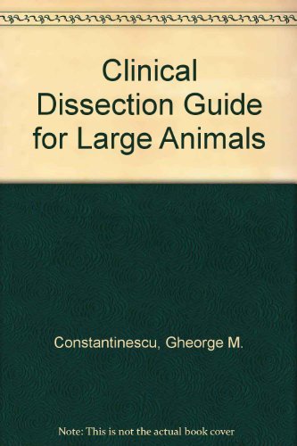 Stock image for Clinical Dissection Guide for Large Animals for sale by dsmbooks