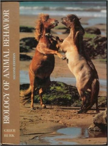 Beispielbild fr Biology of Animal Behavior zum Verkauf von Better World Books
