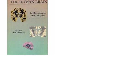Beispielbild fr Atlas of the Human Brain in Photographs and Diagrams zum Verkauf von Better World Books