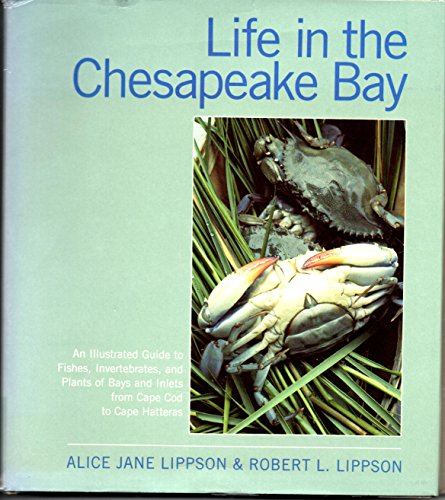 Imagen de archivo de Life in the Chesapeake Bay a la venta por Book Deals