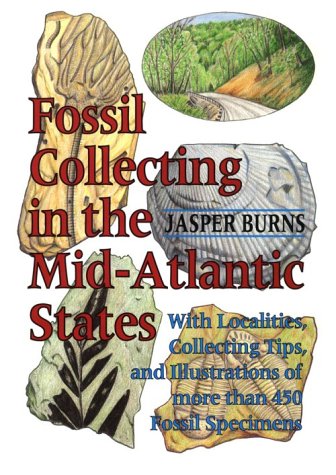 Beispielbild fr Fossil Collecting in the Mid-Atlantic States : With Localities, Collecting Tips, and Illustrations of More than 450 Fossil Specimens zum Verkauf von Better World Books