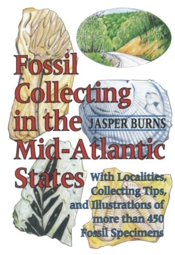 Beispielbild fr Fossil Collecting in the Mid-Atlantic States: With Localities, Collecting Tips, and Illustrations of More than 450 Fossil Specimens zum Verkauf von BooksRun