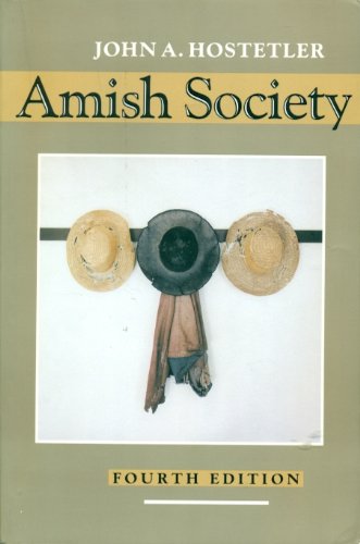 9780801844416: Amish Society