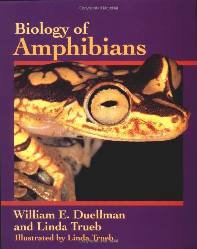 Beispielbild fr Biology of Amphibians zum Verkauf von HPB-Red