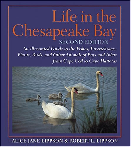 Imagen de archivo de Life in the Chesapeake Bay a la venta por Wonder Book