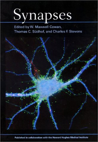 Imagen de archivo de Synapses a la venta por Goodwill of Colorado
