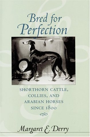 Stock image for Bred for Perfection: Shorthorn Cattle, Collies, and Arabian Horses since 1800 (Animals, History, Culture) for sale by Robert Fulgham, Bookseller