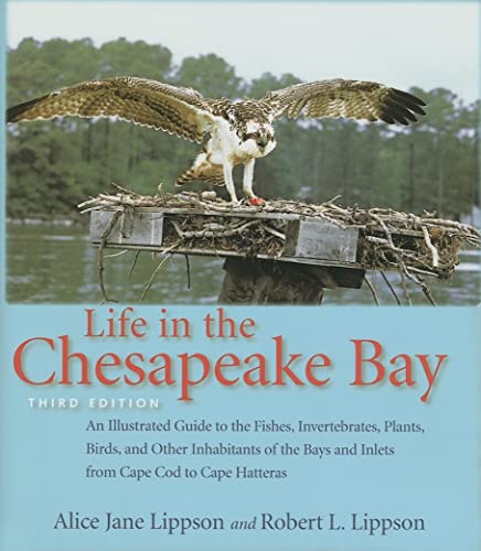 Imagen de archivo de Life in the Chesapeake Bay a la venta por Wonder Book