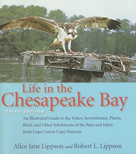 Stock image for Life in the Chesapeake Bay for sale by BookHolders