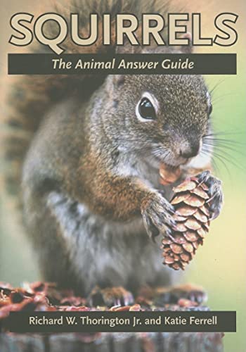 Stock image for Squirrels: The Animal Answer Guide for sale by ThriftBooks-Dallas