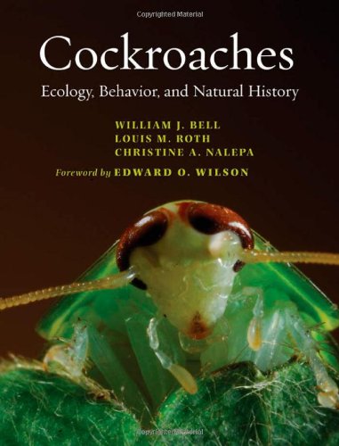 9780801886164: Cockroaches: Ecology, Behavior, and Natural History