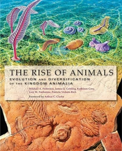 Imagen de archivo de The Rise of Animals : Evolution and Diversification of the Kingdom Animalia a la venta por Better World Books
