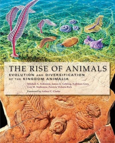 Stock image for The Rise of Animals : Evolution and Diversification of the Kingdom Animalia for sale by Better World Books