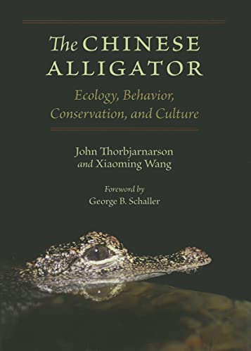 Imagen de archivo de THE CHINESE ALLIGATOR: Ecology, Behavior, Conservation, and Culture a la venta por Paul Gritis Books