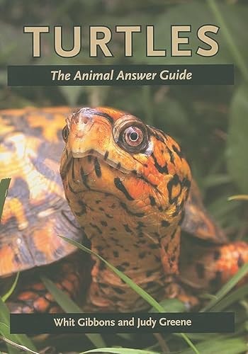 9780801893490: Turtles: The Animal Answer Guide (The Animal Answer Guides: Q&A for the Curious Naturalist)