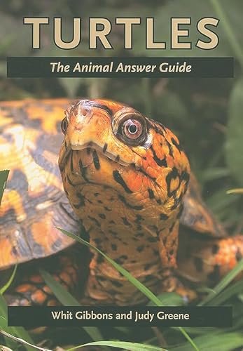 Stock image for Turtles: The Animal Answer Guide (The Animal Answer Guides: Q&A for the Curious Naturalist) for sale by Wonder Book