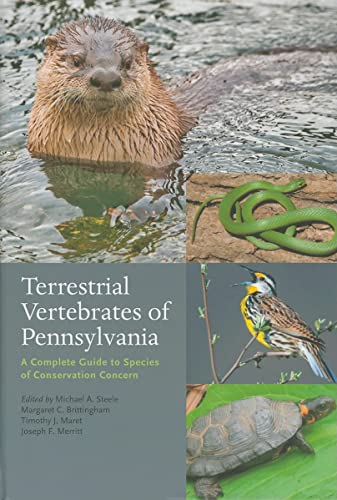 Stock image for Terrestrial Vertebrates of Pennsylvania: A Complete Guide to Species of Conservation Concern for sale by ThriftBooks-Atlanta