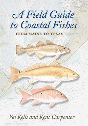 Beispielbild fr A Field Guide to Coastal Fishes: From Maine to Texas [Paperback] Kells, Valerie A. and Carpenter, Kent zum Verkauf von Lakeside Books