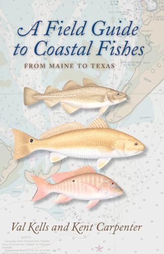 Stock image for A Field Guide to Coastal Fishes: From Maine to Texas [Paperback] Kells, Valerie A. and Carpenter, Kent for sale by Lakeside Books