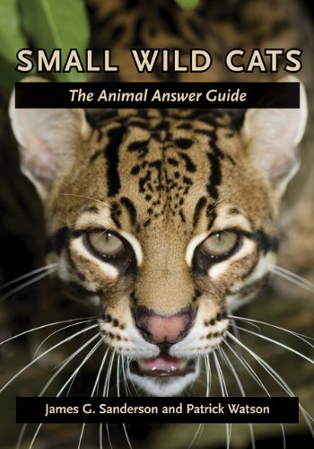 9780801898846: Small Wild Cats: The Animal Answer Guide