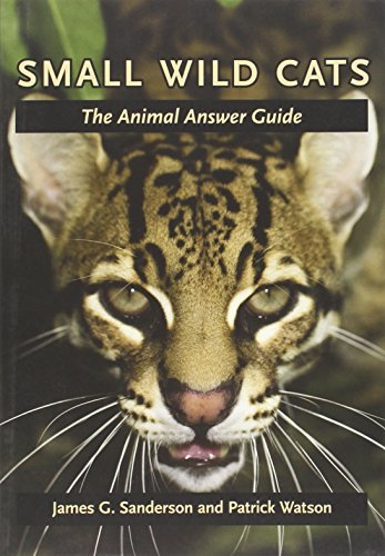 Imagen de archivo de Small Wild Cats: The Animal Answer Guide (The Animal Answer Guides: QA for the Curious Naturalist) a la venta por Goodwill