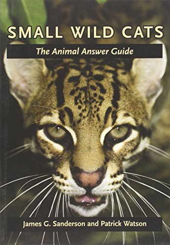 Stock image for Small Wild Cats: The Animal Answer Guide (The Animal Answer Guides: Q&A for the Curious Naturalist) for sale by Decluttr