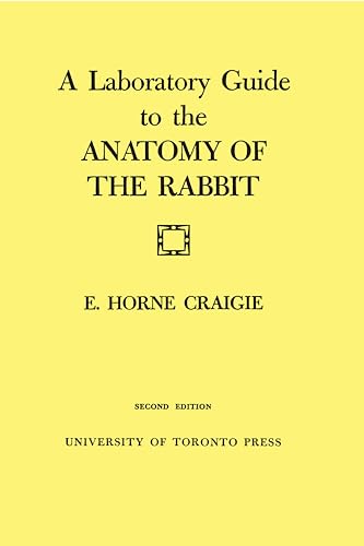 Stock image for Laboratory Guide to the Anatomy of the Rabbit for sale by Better World Books