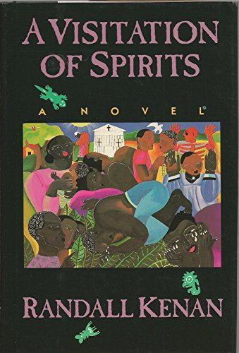 Beispielbild fr Visitation of Spirits: A Novel zum Verkauf von Read&Dream