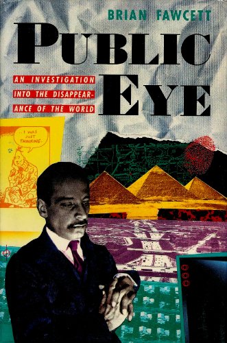 Beispielbild fr Public Eye : An Investigation into the Disappearance of the World zum Verkauf von Better World Books