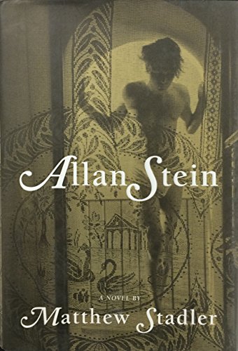 Imagen de archivo de Allan Stein a la venta por Books of the Smoky Mountains